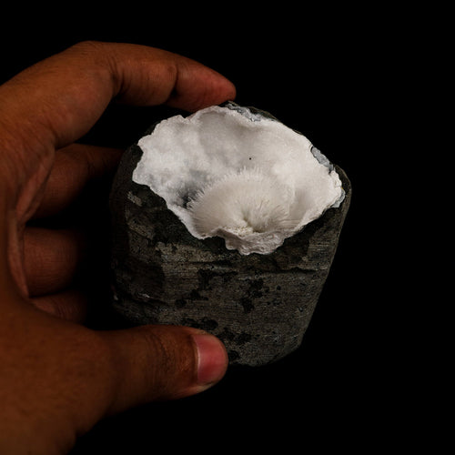 Mesolite Inside Chalcedony Geode Natural Mineral Specimen # B 6164