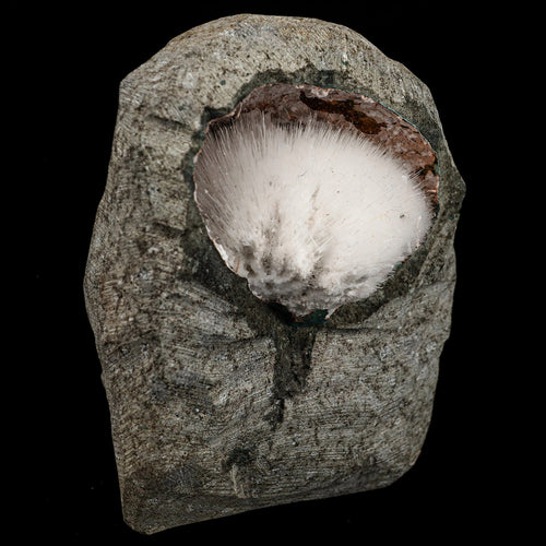 Mesolite Inside MM Quartz Geode Natural Mineral Specimen # B 6591