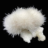 Mesolite, Apophyllite, Stilbite on Mordenite - Natural Mineral Specimen # DK194