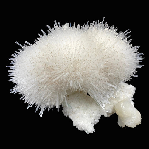 Mesolite, Apophyllite, Stilbite on Mordenite - Natural Mineral Specimen # DK194