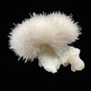 Mesolite, Apophyllite, Stilbite on Mordenite - Natural Mineral Specimen # DK194
