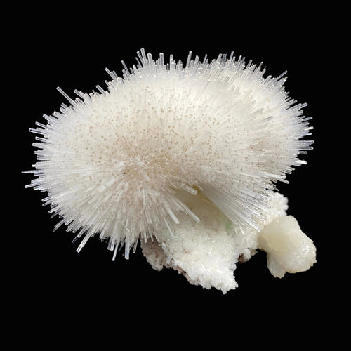 Mesolite, Apophyllite, Stilbite on Mordenite - Natural Mineral Specimen # DK194