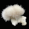 Mesolite, Apophyllite, Stilbite on Mordenite - Natural Mineral Specimen # DK194