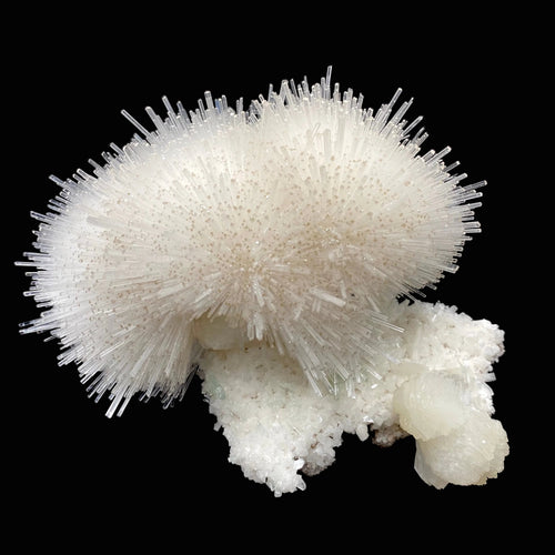 Mesolite, Apophyllite, Stilbite on Mordenite - Natural Mineral Specimen # DK194