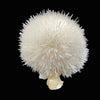 Mesolite on Mordenite Natural Mineral Specimen # DK195
