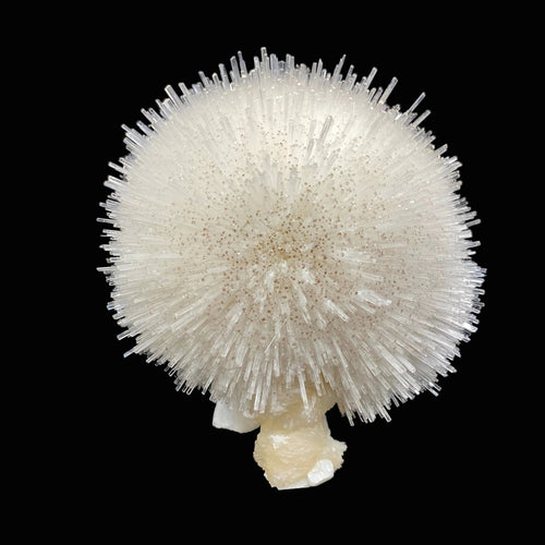 Mesolite on Mordenite Natural Mineral Specimen # DK195