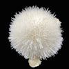 Mesolite on Mordenite Natural Mineral Specimen # DK195
