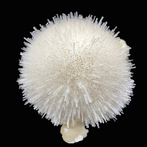 Mesolite on Mordenite Natural Mineral Specimen # DK195