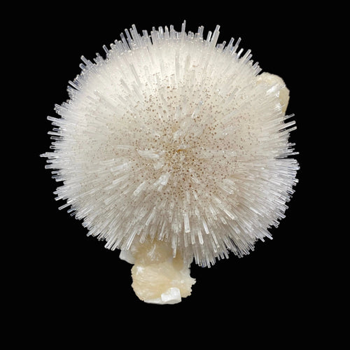 Mesolite on Mordenite Natural Mineral Specimen # DK195