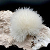 Rare White Mesolite on Mordenite – Porcupine Spray Zeolite Specimen from India # DK190