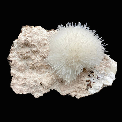 Rare White Mesolite on Mordenite – Porcupine Spray Zeolite Specimen from India # DK190
