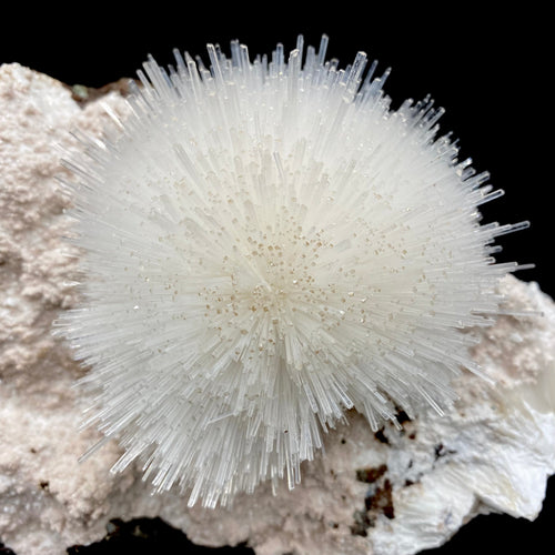 Rare White Mesolite on Mordenite – Porcupine Spray Zeolite Specimen from India # DK190