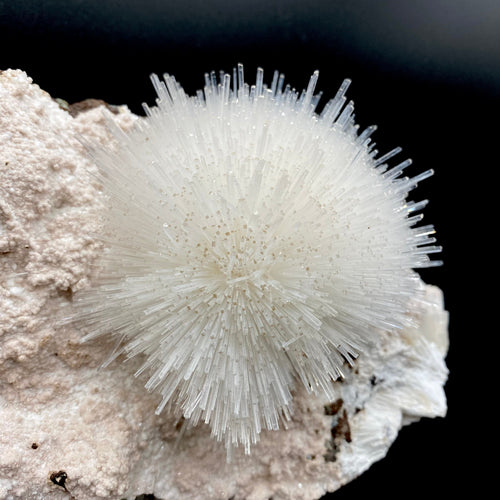 Rare White Mesolite on Mordenite – Porcupine Spray Zeolite Specimen from India # DK190