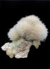 Mesolite with Stilbite on Mordenite - Natural Mineral Specimen # DK189
