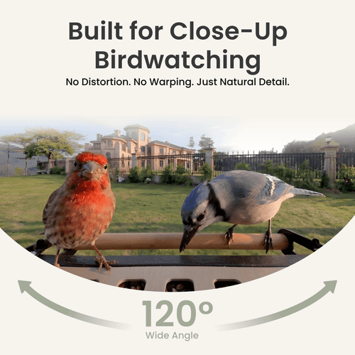 Birdfy Feeder Metal 2 4K - Smart Metal Feeder with Camera