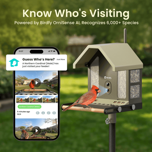 Birdfy Feeder Metal 2 4K - Smart Metal Feeder with Camera