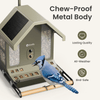 Birdfy Feeder Metal 2 4K - Smart Metal Feeder with Camera