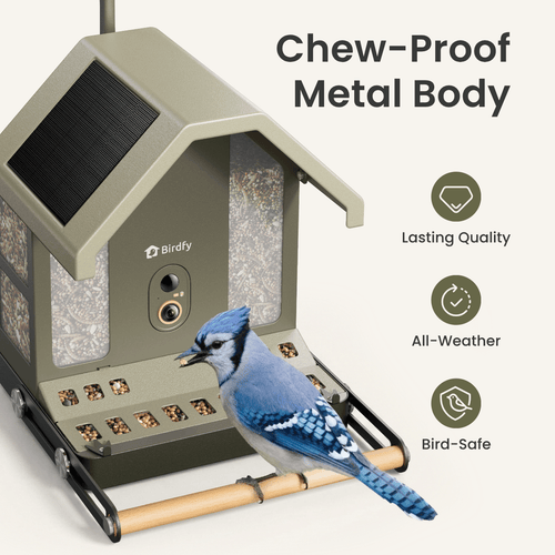 Birdfy Feeder Metal 2 4K - Smart Metal Feeder with Camera