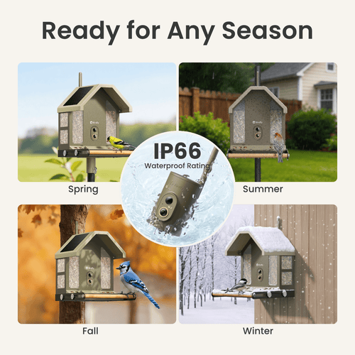 Birdfy Feeder Metal 2 4K - Smart Metal Feeder with Camera