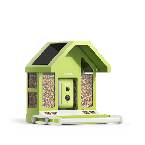 Birdfy Feeder Metal - Smart Metal Feeder with Camera