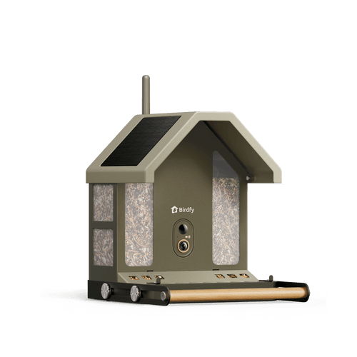 Birdfy Feeder Metal 2 4K - Smart Metal Feeder with Camera