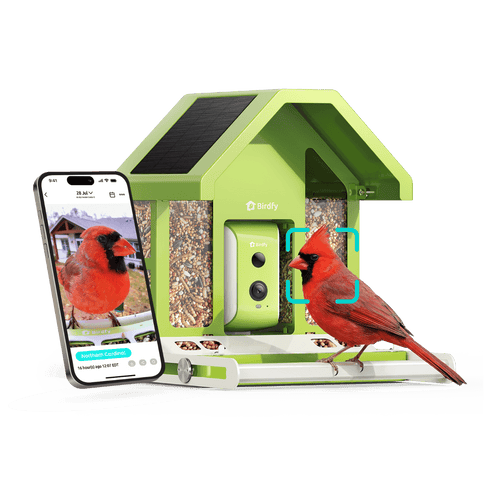 Birdfy Feeder Metal - Limited Father's Day Gift Set