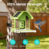 Birdfy Feeder Metal - Limited Father's Day Gift Set
