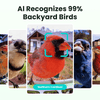 Birdfy Feeder Metal - Limited Father's Day Gift Set