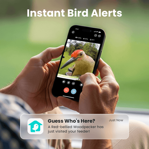 Birdfy Feeder Metal - Smart Metal Feeder with Camera