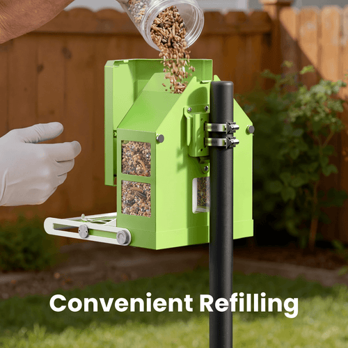 Birdfy Feeder Metal - Limited Father's Day Gift Set