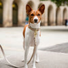 Leash 4ft - Vegan Leather - Milan