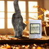 Asterisk Wipes | Botanical Cat Hygiene Wipes for Gentle Grooming by Minou Le-Mew