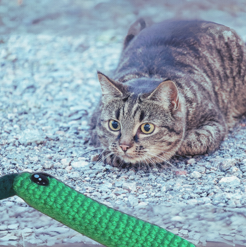 Handmade Catnip Toy | Leaf Stick Chunkle Puff Infused with Miracle Nip Botanicals