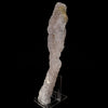 MM Quartz Coral Formation Natural Mineral Specimen # B 6458