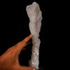 MM Quartz Coral Formation Natural Mineral Specimen # B 6458