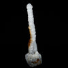 MM Quartz Coral Formation Natural Mineral Specimen # B 6472