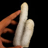 MM Quartz Coral Formation Natural Mineral Specimen # B 6541