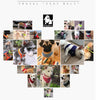 TrueLove Comfortable Soft Breathable Dog Harness TLH1911