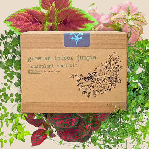 Grow an Indoor Jungle Houseplant Seed Kit