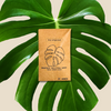 Monstera Deliciosa Swiss Cheese Plant Seeds