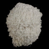 Mordenite Natural Mineral Specimen # B 5500