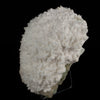 Mordenite Natural Mineral Specimen # B 5500