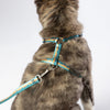 Escape Free Dog Harness 1''