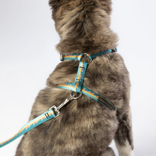 Escape Free Dog Harness 3/4''