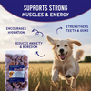 Much Loved Dog™ - Blueberry Burst, Set