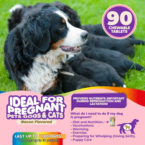 Multivitamin for Dogs & Cats. Prenatal Vitamins
