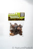 Assorted Mini/Nano Botanical Seed Pod Pack