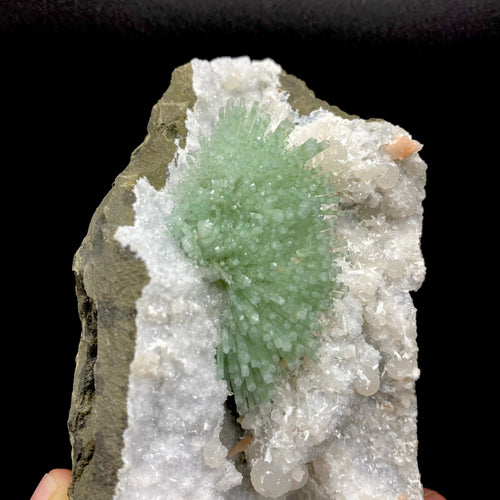 Super Rare Green Natrolite on MM Quartz – Museum-Grade Zeolite Specimen from India | Nashik Deccan Traps # DK197