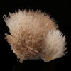 Mesolite Spray Natural Mineral Specimen # B 6049