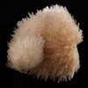 Mesolite Spray Natural Mineral Specimen # B 6049